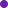 Purple Circle